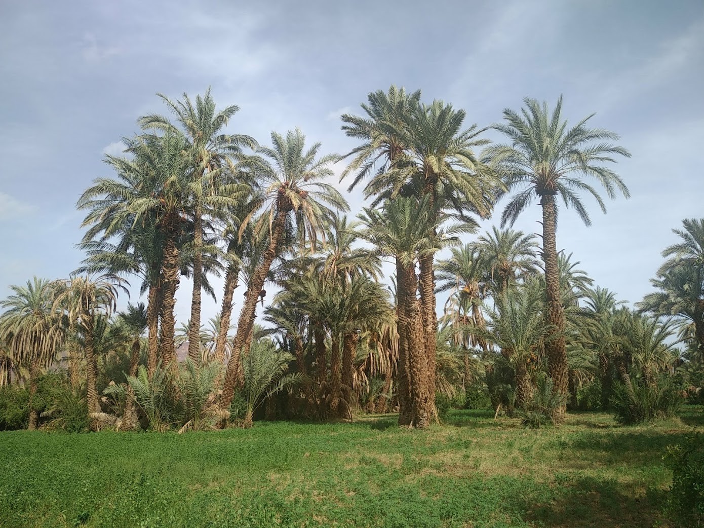 Maroc 111