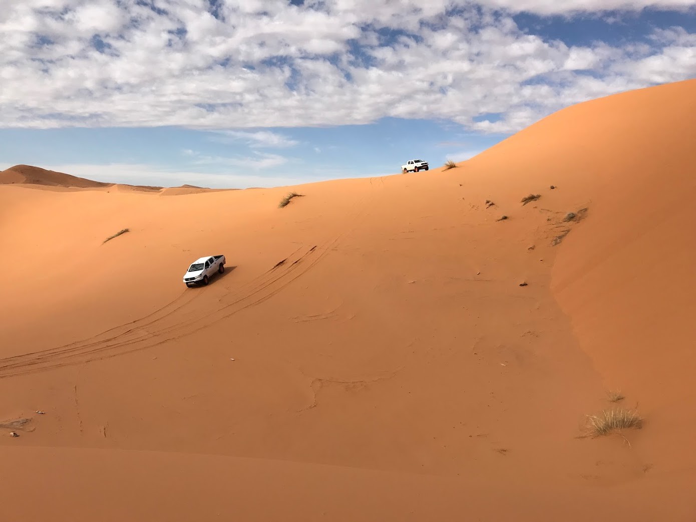 Maroc 54