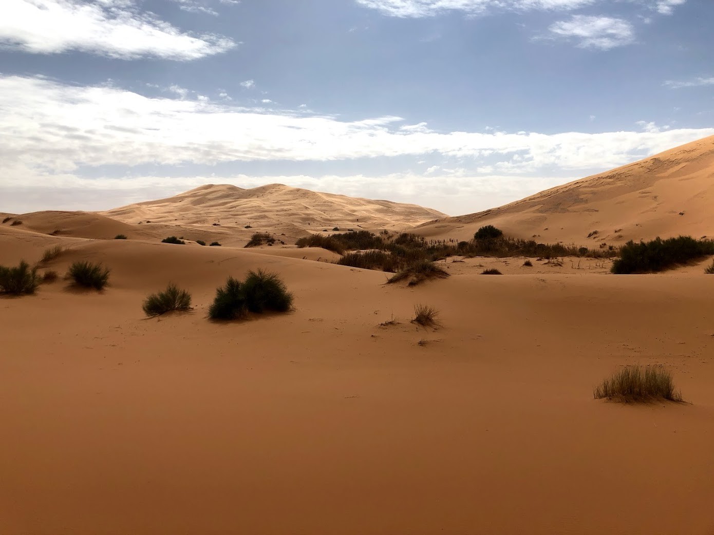 Maroc 73