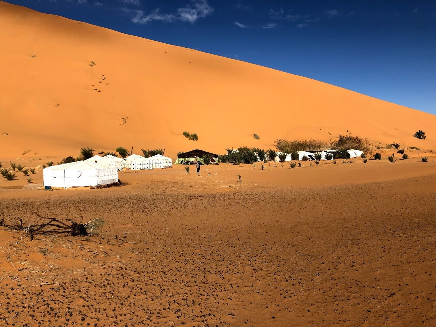 Maroc 74