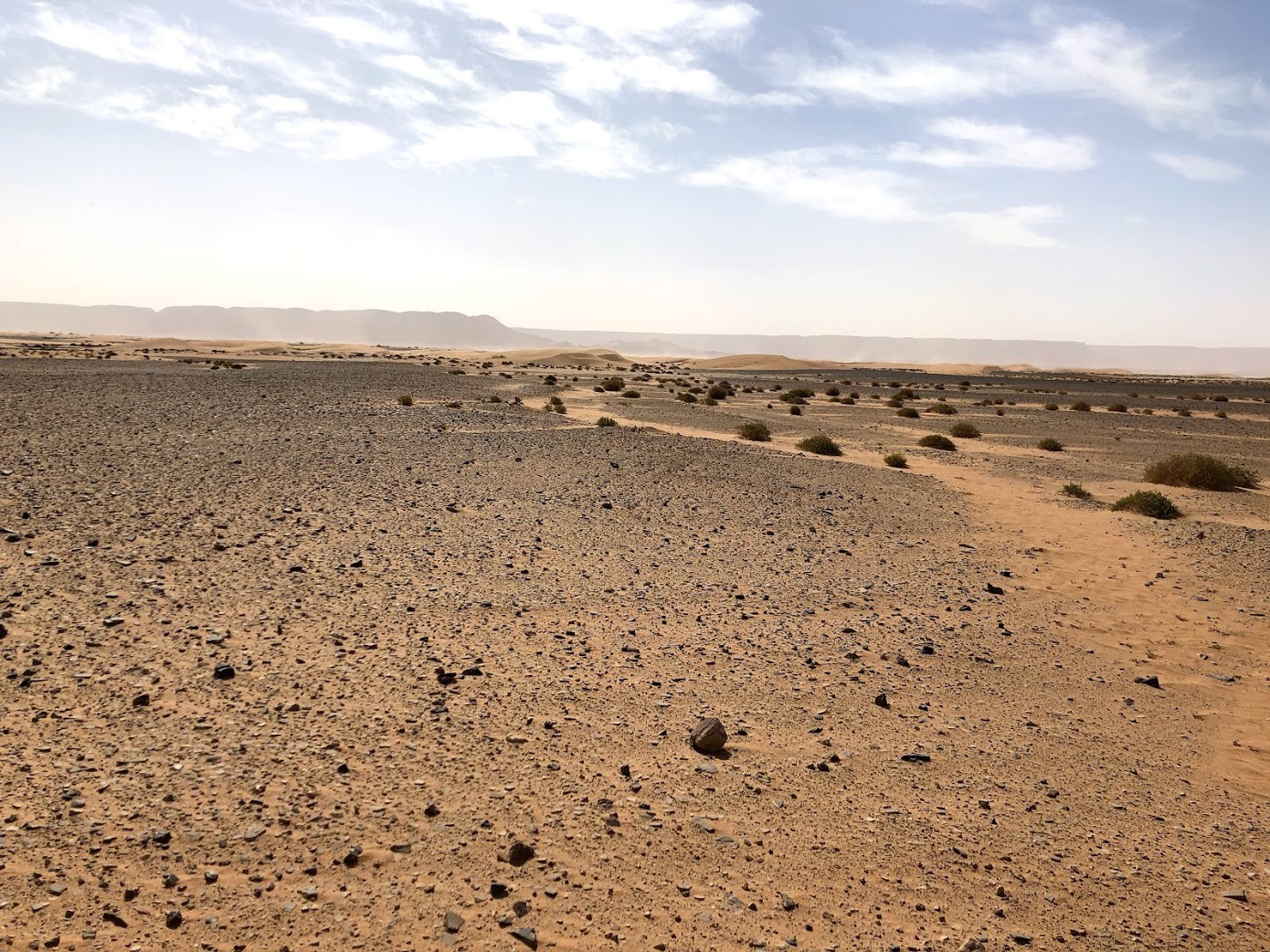 Maroc 75