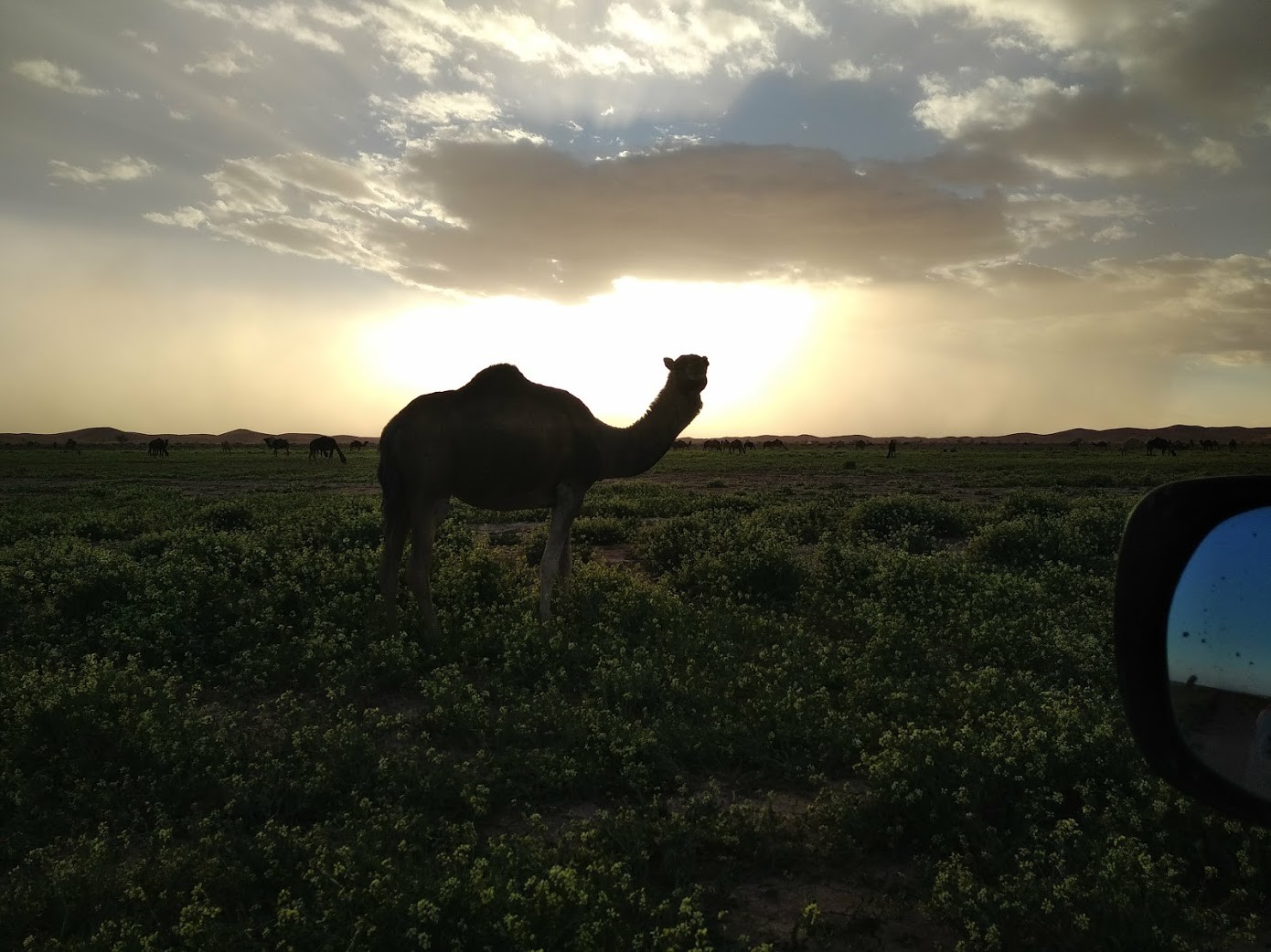 Maroc 88