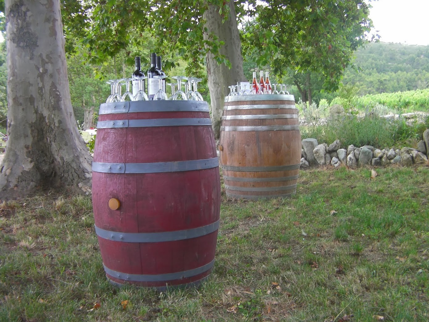 Transfrance 29