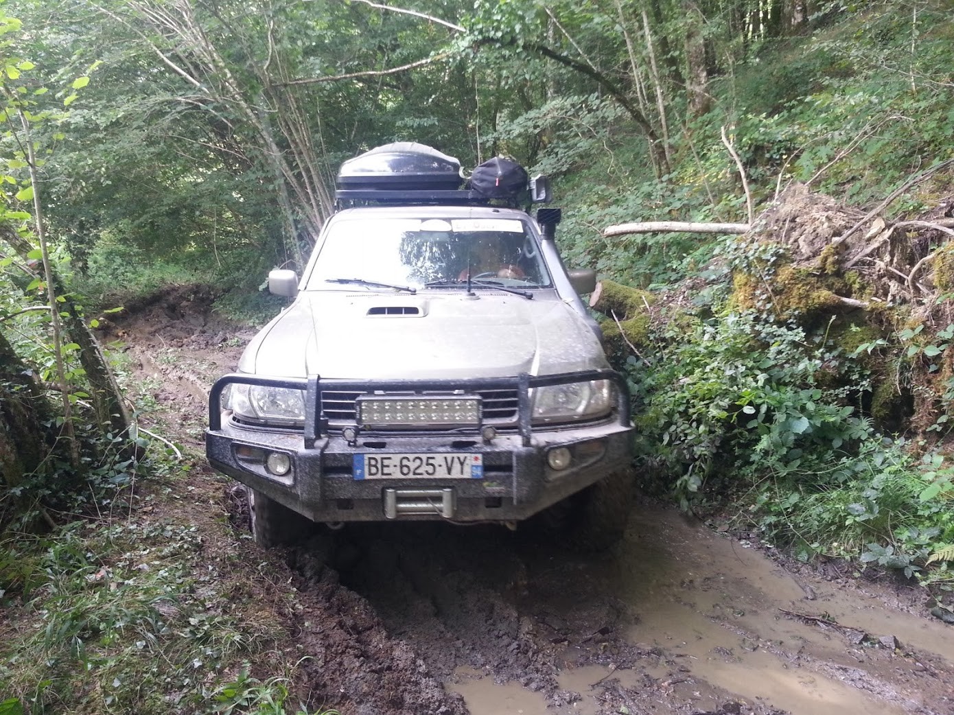 Transfrance 6